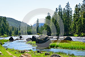 Beautiful Madison river basin, Yellow Stone National Park, USA