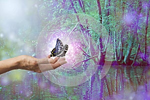 Beautiful Magical Sparkling Butterfly Release