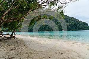 Beautiful Mai ngam bay in Koh Surin national park, the famous free driving spot in Pang Nga, Thailand