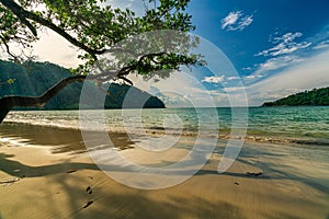 Beautiful Mai ngam beach in Koh Surin national park, the famous free driving spot in Pang Nga, Thailand