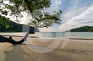 Beautiful Mai ngam beach in Koh Surin national park, the famous free driving spot in Pang Nga, Thailand