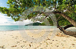 Beautiful Mai ngam beach in Koh Surin national park, the famous free driving spot in Pang Nga, Thailand