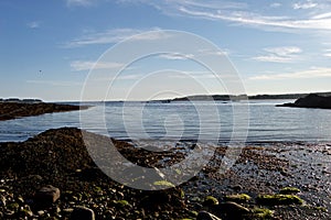 Beautiful Maine Coastline