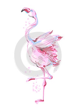 Beautiful male dancing pink flamingo smiling isolated on white background with pink splash for prints, fashion apparel
