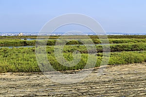 Beautiful Manga del Mar Menor wetlands