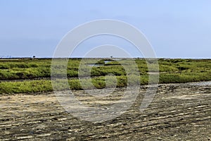 Beautiful Manga del Mar Menor wetlands