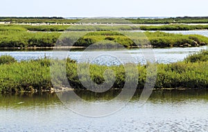 Beautiful Manga del Mar Menor wetlands