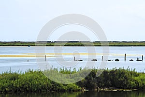 Beautiful Manga del Mar Menor wetlands