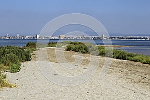 Beautiful Manga del Mar Menor wetlands