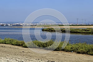 Beautiful Manga del Mar Menor wetlands