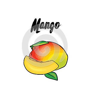 A beautiful mango. Vector illustration. Tropical fruits.