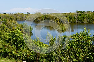 Beautiful mangrove and sea landscape at Coyo Cocco