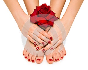 Beautiful manicure and pedicure photo