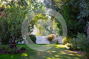 Beautiful manicured lawn in a spring garden.