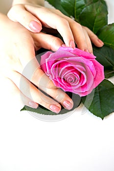Beautiful manicured woman`s nails with pink polish isolated.