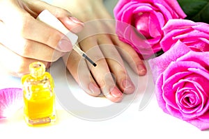 Beautiful manicured woman`s nails with pink polish and oil for cuticles isolated.