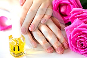 Beautiful manicured woman`s nails with pink polish and oil for cuticles isolated. Nails care.