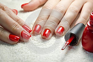 Beautiful manicured woman`s nails with red nail polish on soft white towel.
