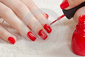 Beautiful manicured woman`s nails with red nail polish on soft white towel.