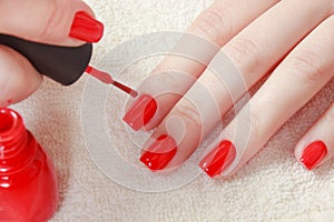 Beautiful manicured woman`s nails with red nail polish on soft white towel. photo