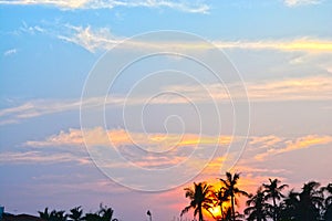 Beautiful many coconut trees in beach house sunset