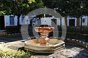 Beautiful marble fountain in the Plaza de Dona Elvira at the famous Santa Cruz neighborhood of Seville, Andalusia, Spain photo