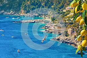 Beautiful Marina Piccola with rocky shore and clear blue sea, Capri Island, Italy photo