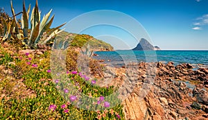 Beautiful marine scenery. Picturesque spring view of Tavolara island from Porto Taverna beach