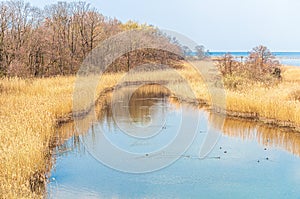 Beautiful marsh land in Les Grangettes Natural Reserve, Villeneuve, Switzerland