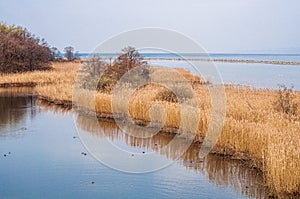 Beautiful marsh land in Les Grangettes Natural Reserve, Villeneuve, Switzerland