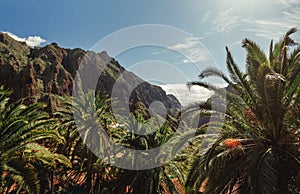 Beautiful Masca village of Tenerife, Spain. Panoramic view of palm trees and green hills with cloudy sky in Canary Islands