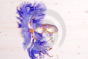 Beautiful mask of feathers light board