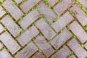 Beautiful masonry cobblestone pavement with grass sprouted in the seams. Close-up. Background. Space for text