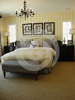 Beautiful Master Bed Room