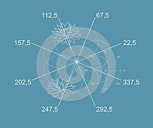 Beautiful math vector. White graphs of eight - petals rose Grandi, cardioid and silhouette of water lily flowers