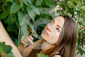 A beautiful Mature woman with long hair collects cherry berries from a tree. Everyday life of a European woman in the village