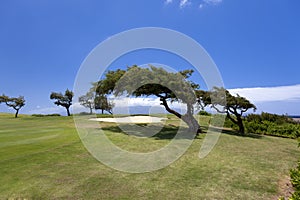 Beautiful Maui oceanside golf course