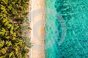 Beautiful Mauritius island with beach Flic en flac. Coral reef around tropical palm beach, Flic en Flac, Mauritius. Aerial view of photo