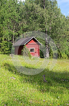 Beautiful meadow of Finland
