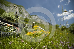 Beautiful meadow with flowers and bicycle