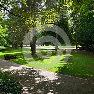 Beautiful meadow in the park