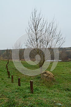 Beautiful Meadow With Trees Without Leaf Near The Ebro River In San Vicente De La Sonsierra. Nature, Landscape, History, Travel.