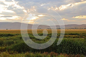 Beautiful Meadows in Erzurum, TÃ¼rkiye. Meadows near the city. photo