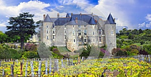 beautiful medieval French castles of Loire valley. Chateau de Luynes