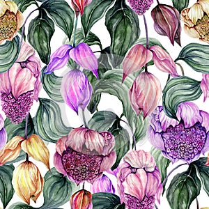 Beautiful medinilla flowers on climbing twigs against white background. Seamless floral pattern. Hand painted illustration. Fabric