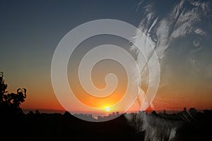 Beautiful Meditational Zen Sunrise With Lion Silhouette photo