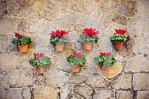 Beautiful mediterranean decoration on a wall in the historic village Valldemosa in Majorca