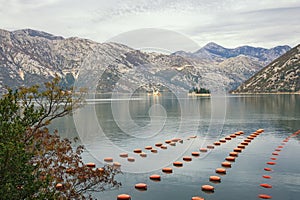 Beautiful Mediterranean landscape on cloudy autumn day. Longline culture mussel farm. Montenegro, Bay of Kotor