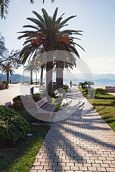 Beautiful Mediterranean landscape. Montenegro. Embankment of Tivat city