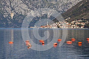 Beautiful Mediterranean landscape. Montenegro. View of Kotor Bay near ancient town of Perast